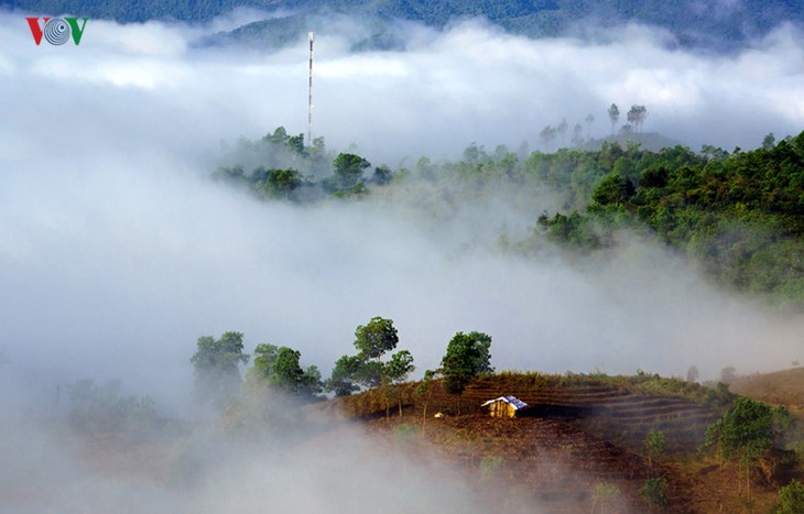 Le plateau de Sin Hô : un site paradisiaque du Nord-Ouest - ảnh 1